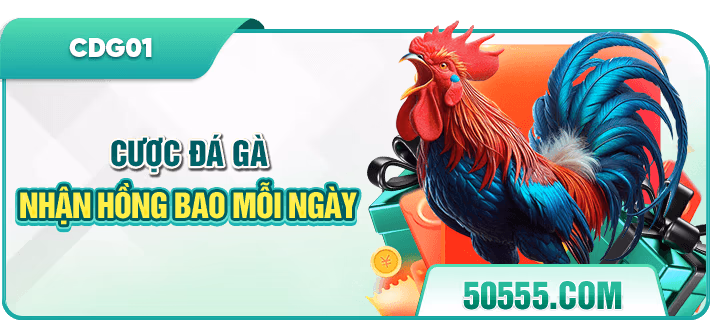 Ưu đãi bảo hiểm đá gà singsc